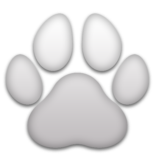 White paw